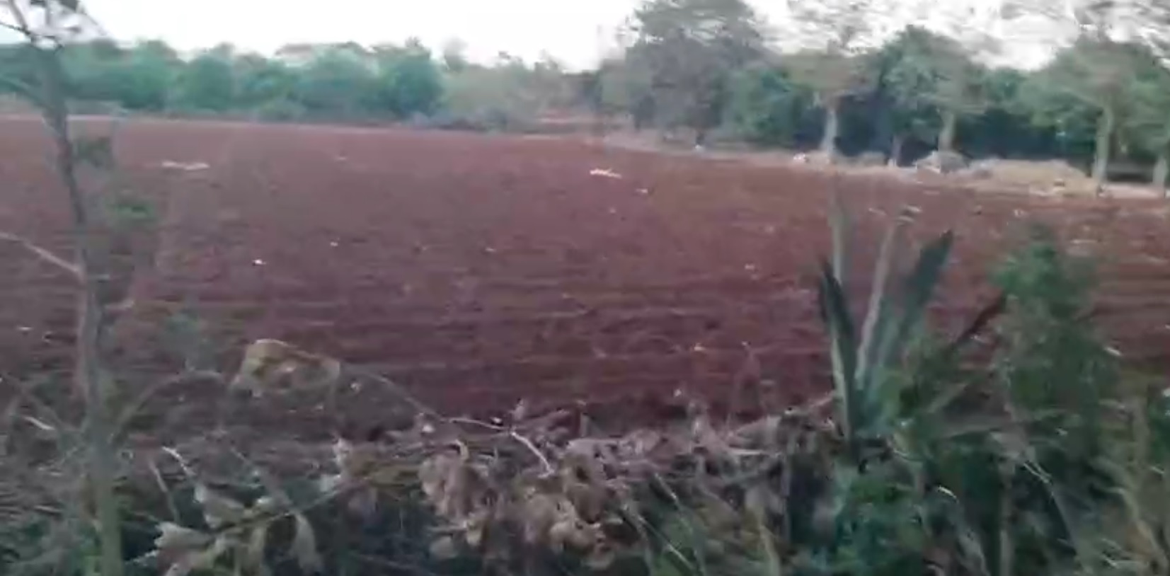 Land for sale Zaheerabad Telangana