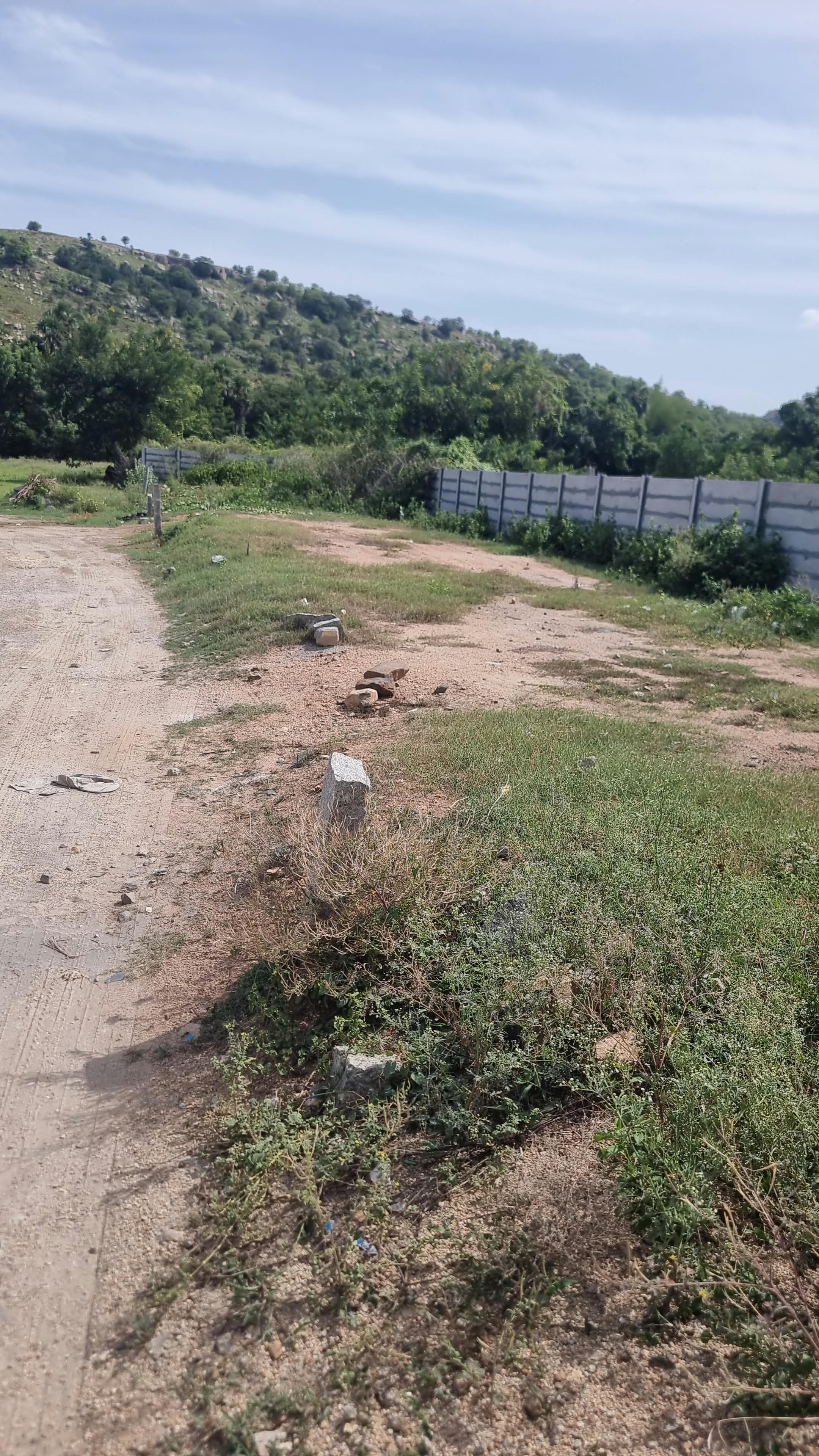 140acre Litigation property