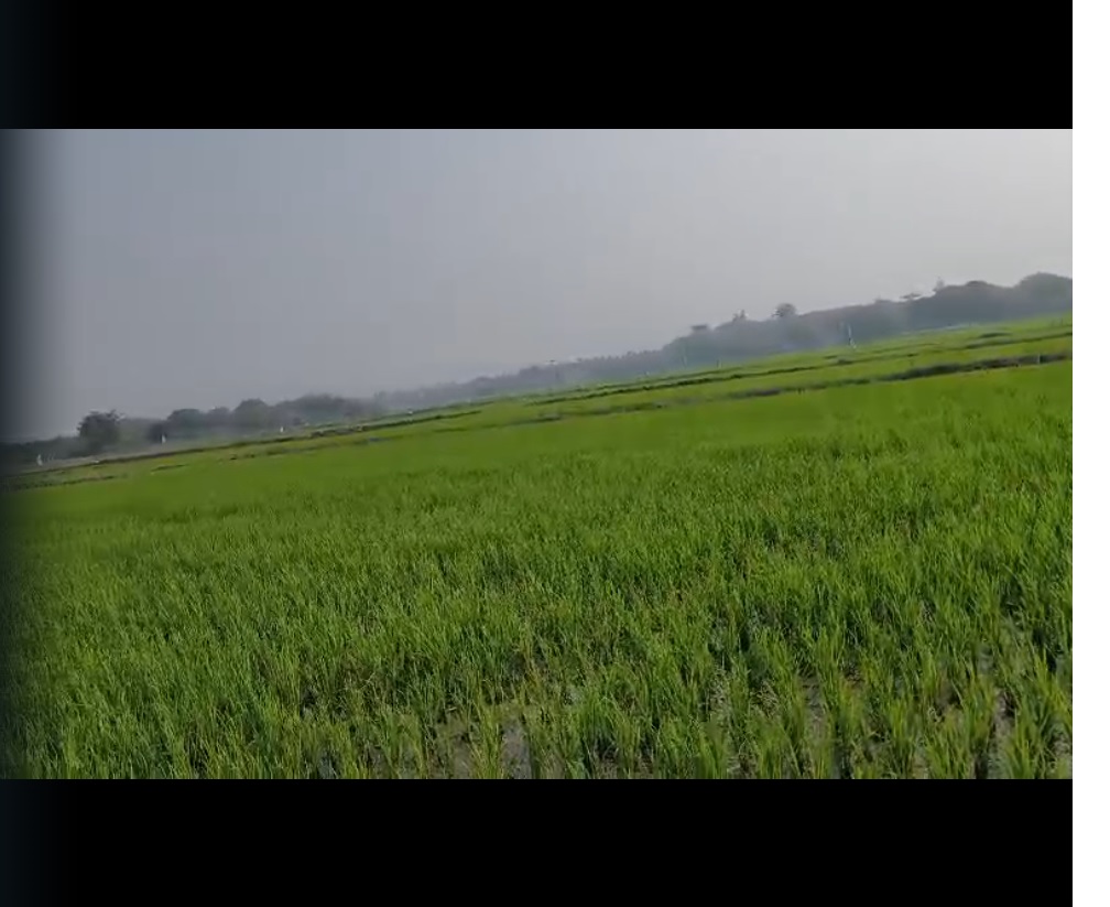 Agricultural land Daulatabad Telangana