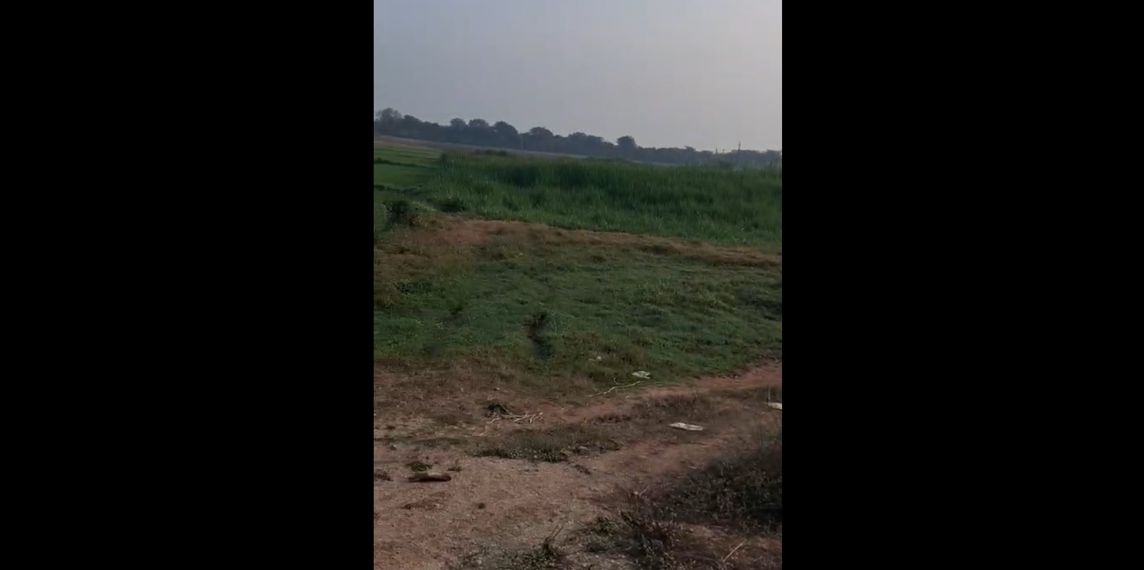 Land for sale - Chinnarevalli Telangana